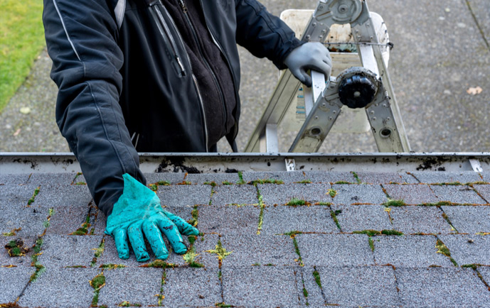 Local Roof Inspection Companies